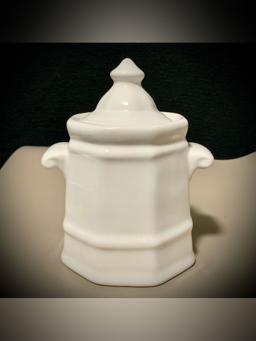 🔍Vintage Pfaltzgraff White Covered Canister / Sugar Bowl